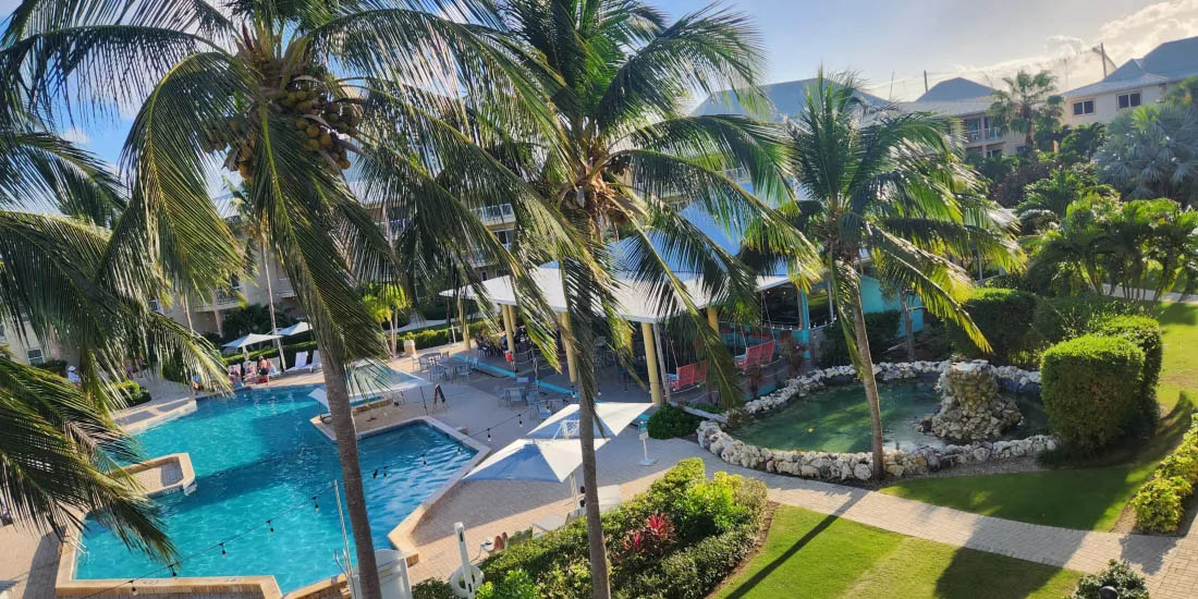 pool_lawn